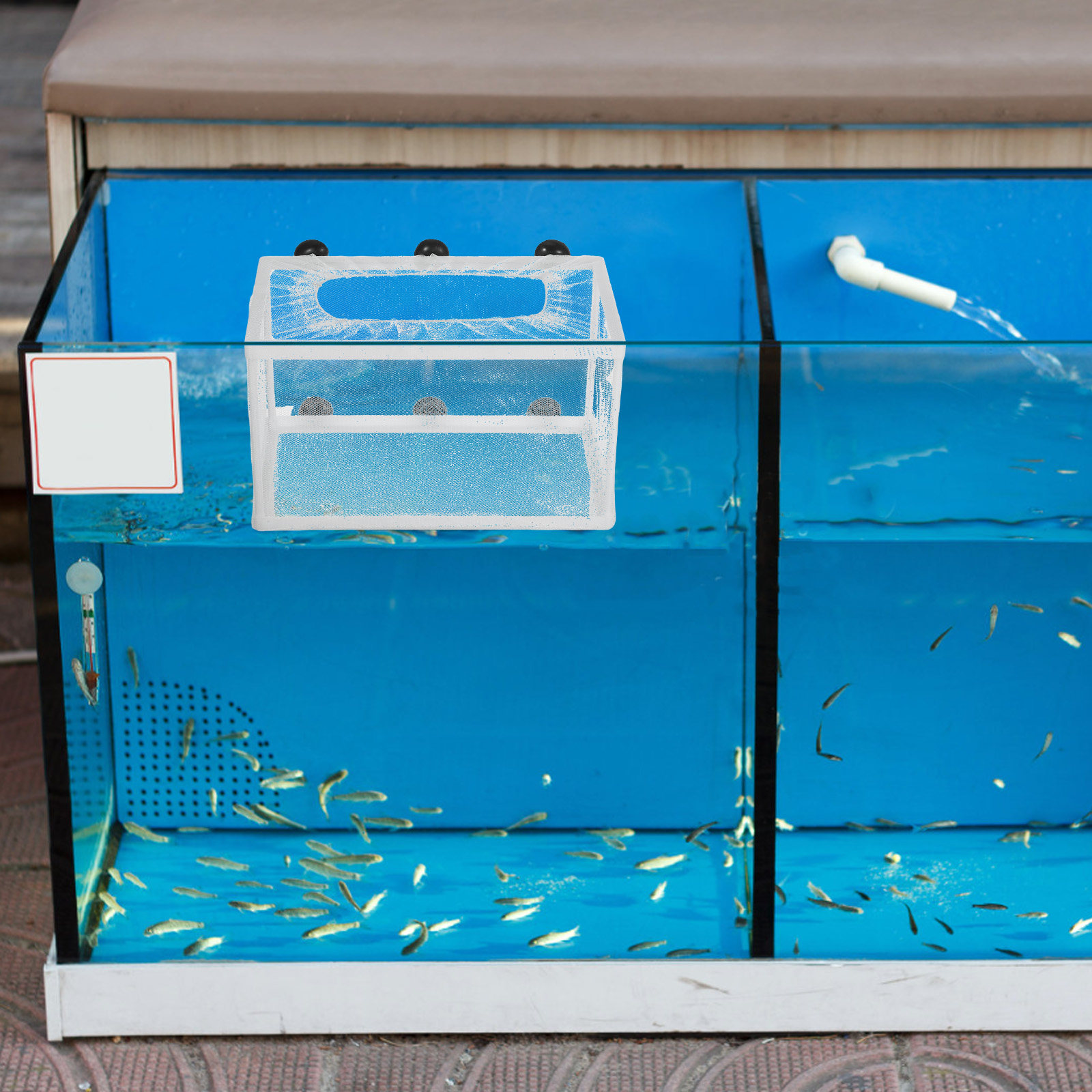 Aquarium Fish Net Big Size - Aquarium Fish Net Hatchery Box Big