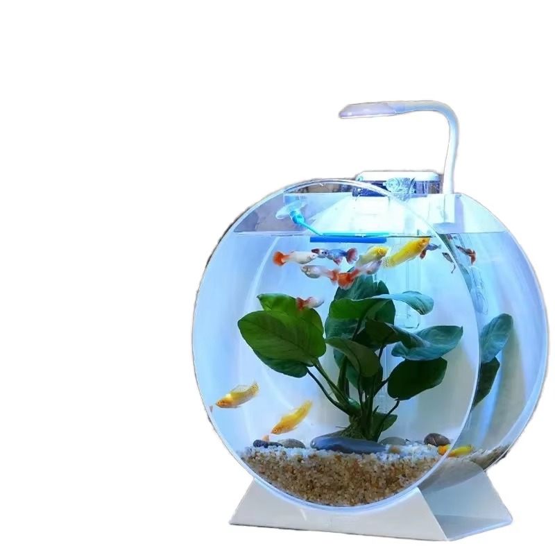 Aquarium Fish For Sale - Hot Sale Modern Eco-Friendly Acrylic Fish