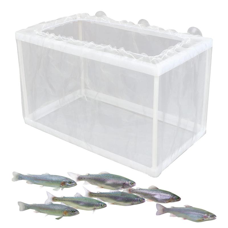 Aquarium Fish For Sale - Fish Breeder Box with Suction, Aquarium