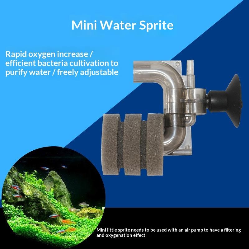.Hot Sale-Mini Aquarium Sponge - огляд і ціна Aquarium Fish For Sale
