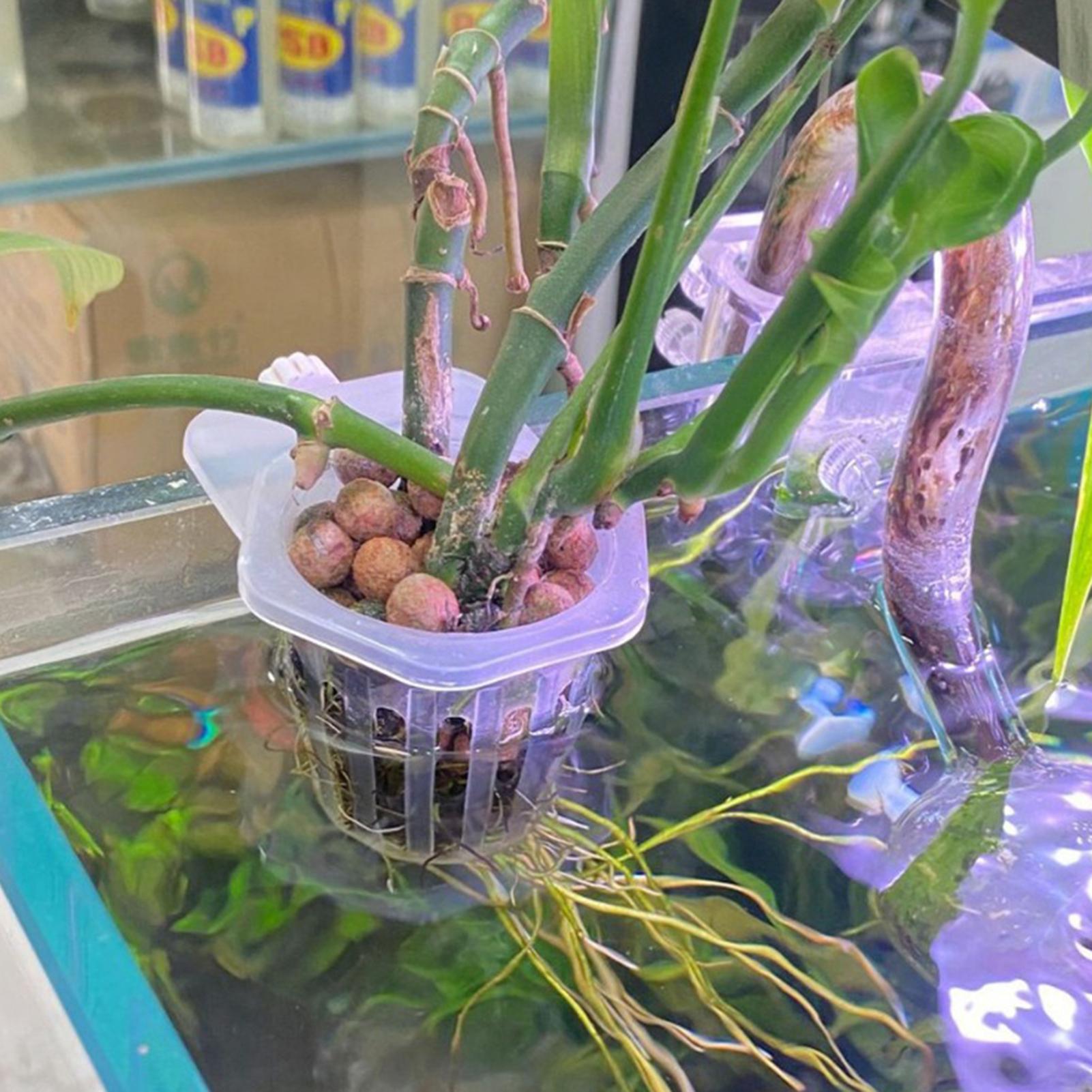 Hydroponic Plant Hanging Holde - огляд і ціна Aquarium Fish Elevator