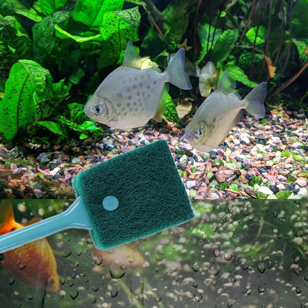 Double-sided Fish Tank Sponge  - огляд і ціна Aquarium Fish Accessories
