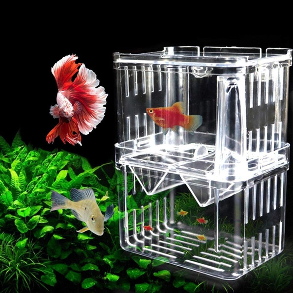 Tank Aquarium For Baby Fishes  - огляд і ціна Aquarium Fish Reproduction
