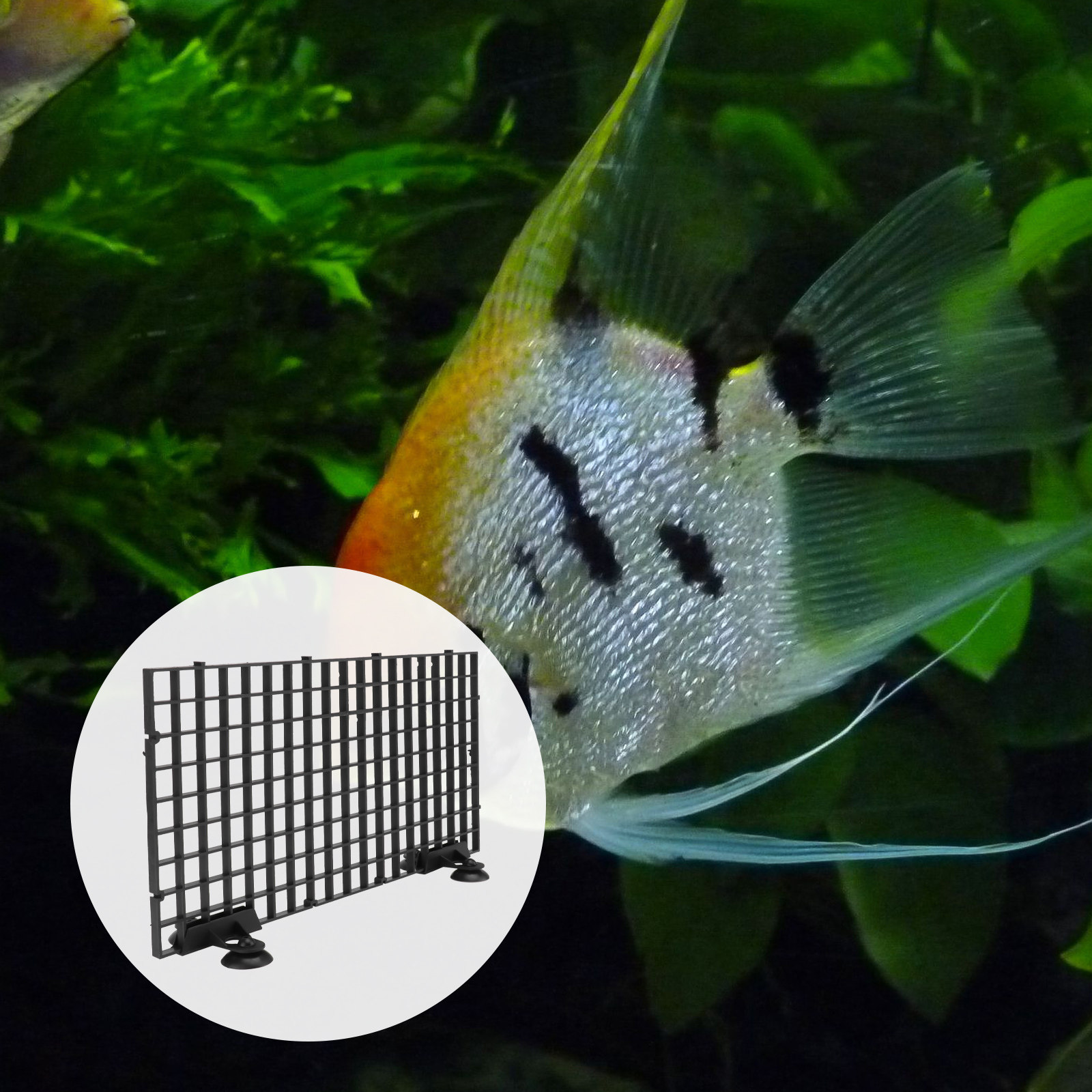 Fish Breeder Net Big Size Blac - огляд і ціна Aquarium Fish Net Big Size