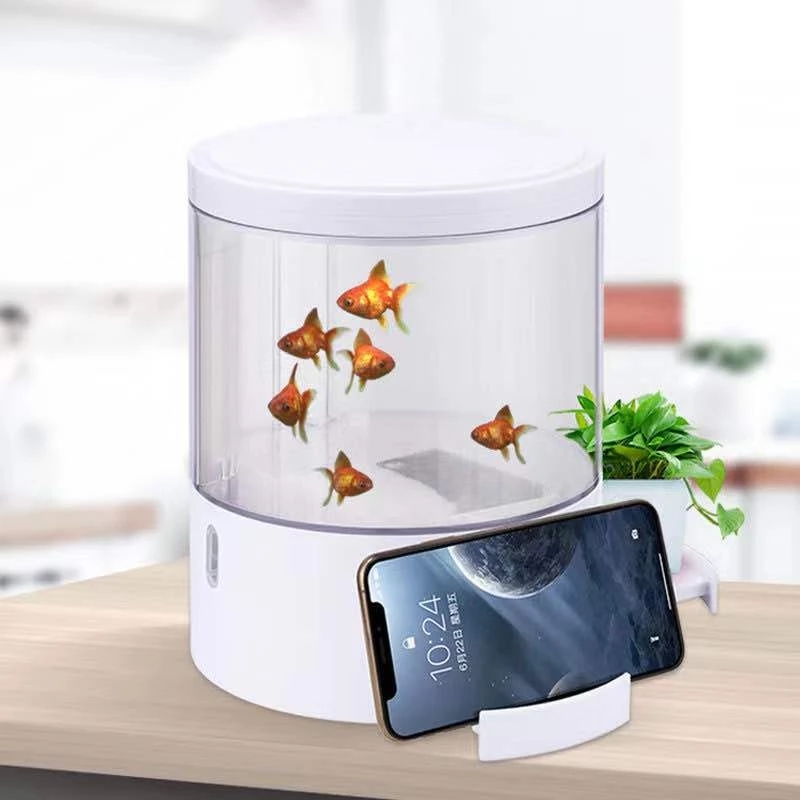 Round colorful lights desktop  - огляд і ціна Aquarium Fish For Sale