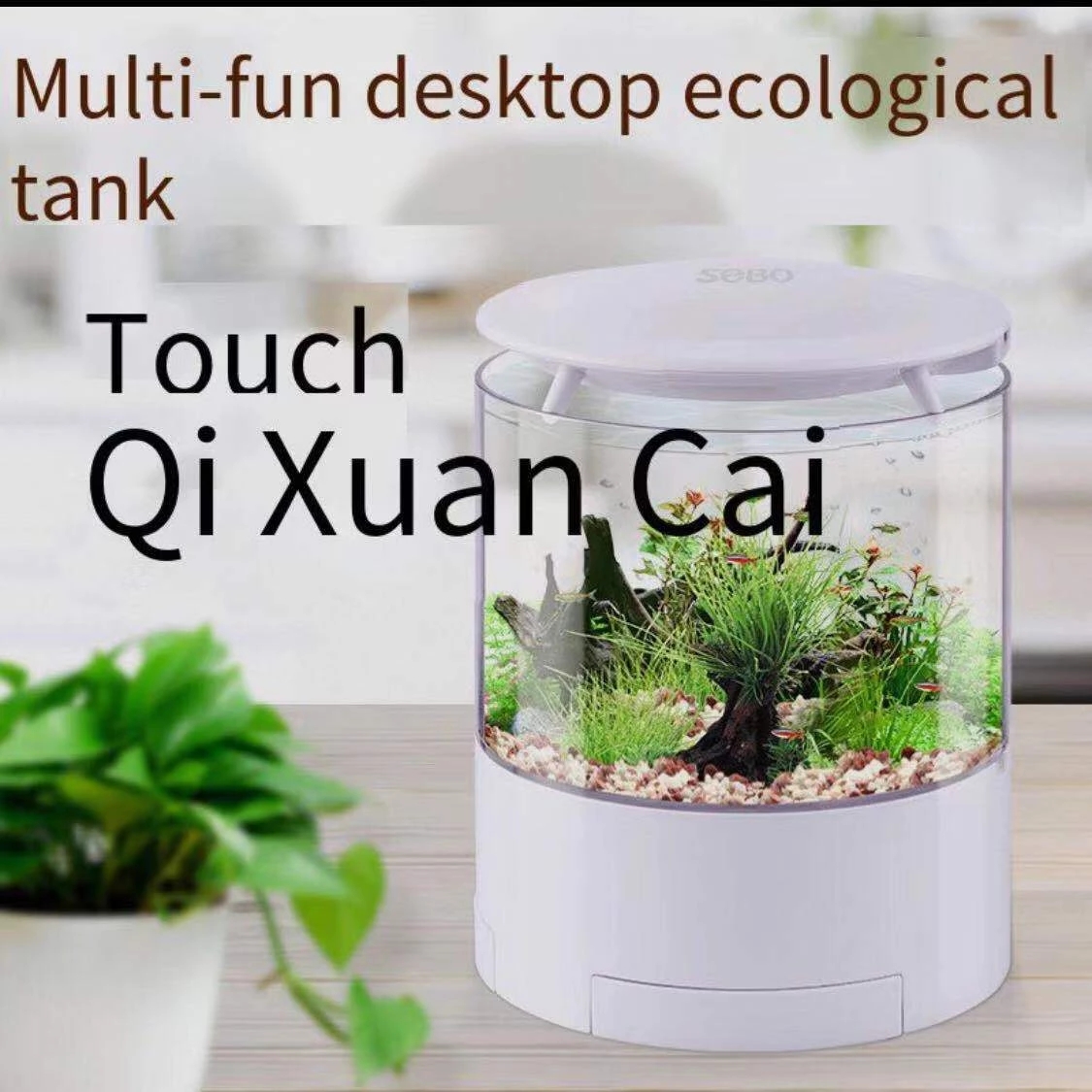 Round colorful lights desktop  - огляд і ціна Aquarium Fish For Sale