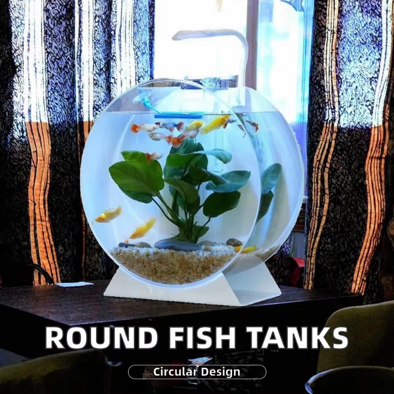 Hot Sale Modern Eco-Friendly A - огляд і ціна Aquarium Fish For Sale
