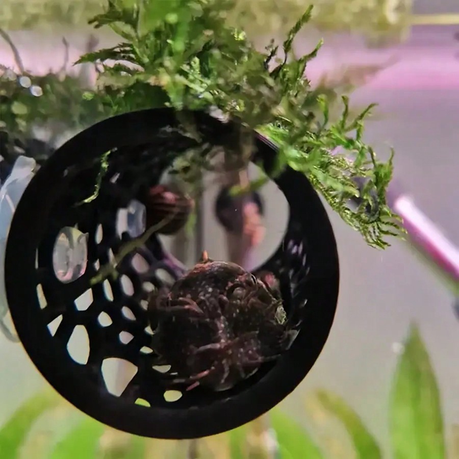 Betta Fish Hideout Hollow Tube - огляд і ціна Aquarium Fish Hideout