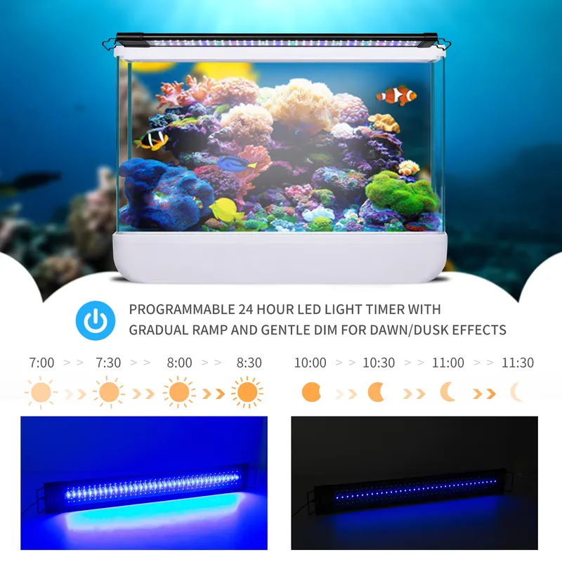 Highly Simulated Aquarium Fish - огляд і ціна Aquarium Fish Reproduction