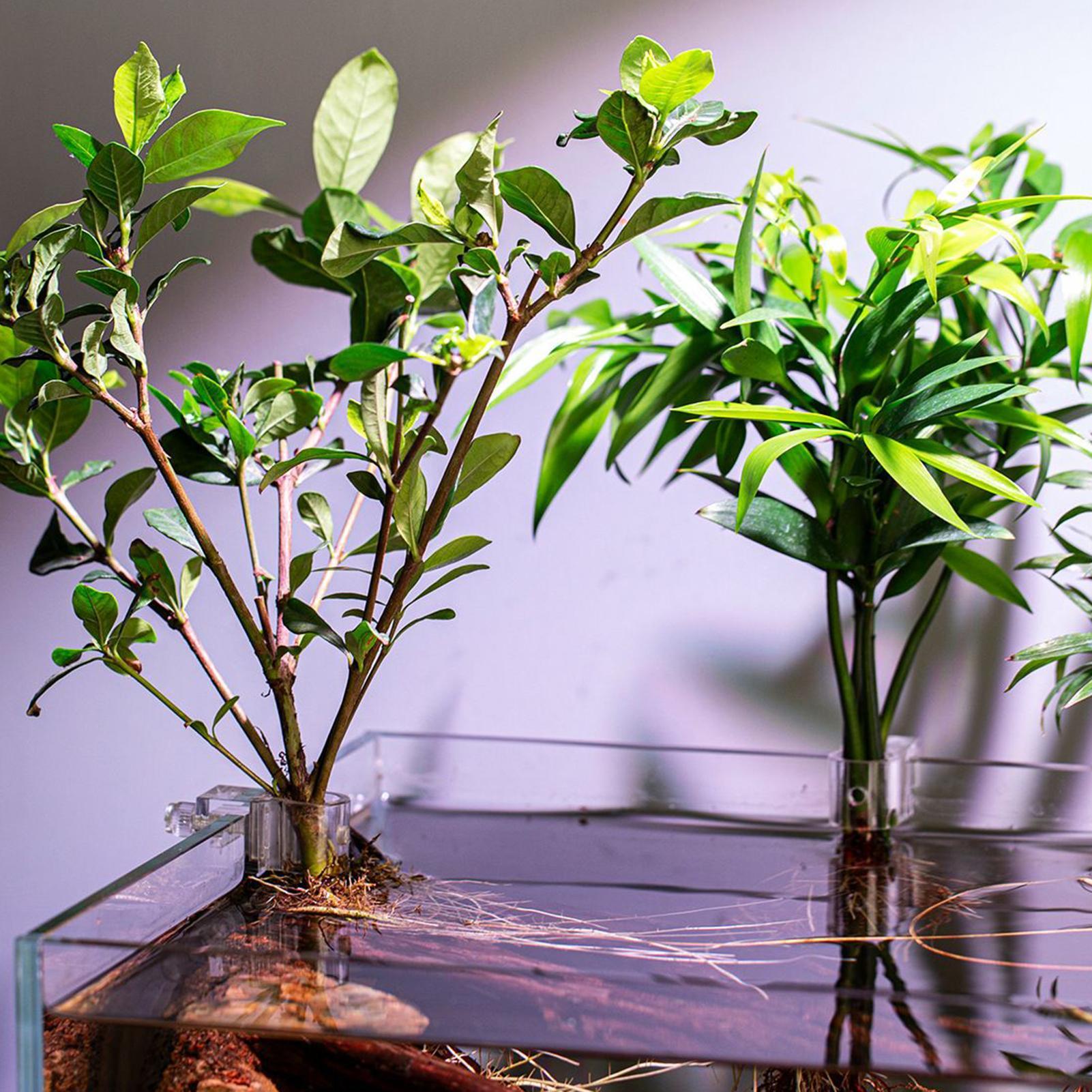 Mini Fish Tank Planter Pot 6Pc - огляд і ціна Aquarium Fish Elevator