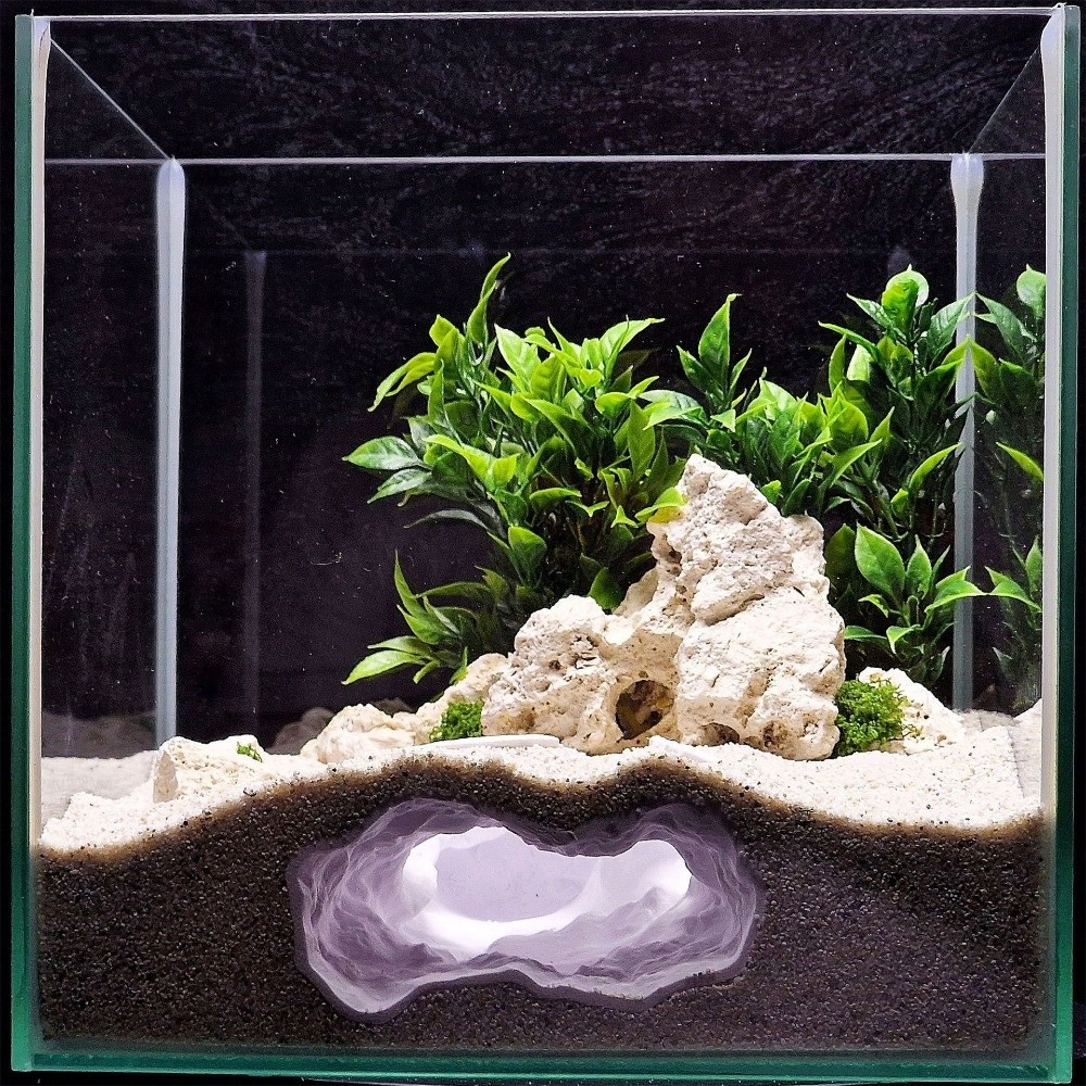 Highly Simulated Aquarium Fish - огляд і ціна Aquarium Fish Hideout