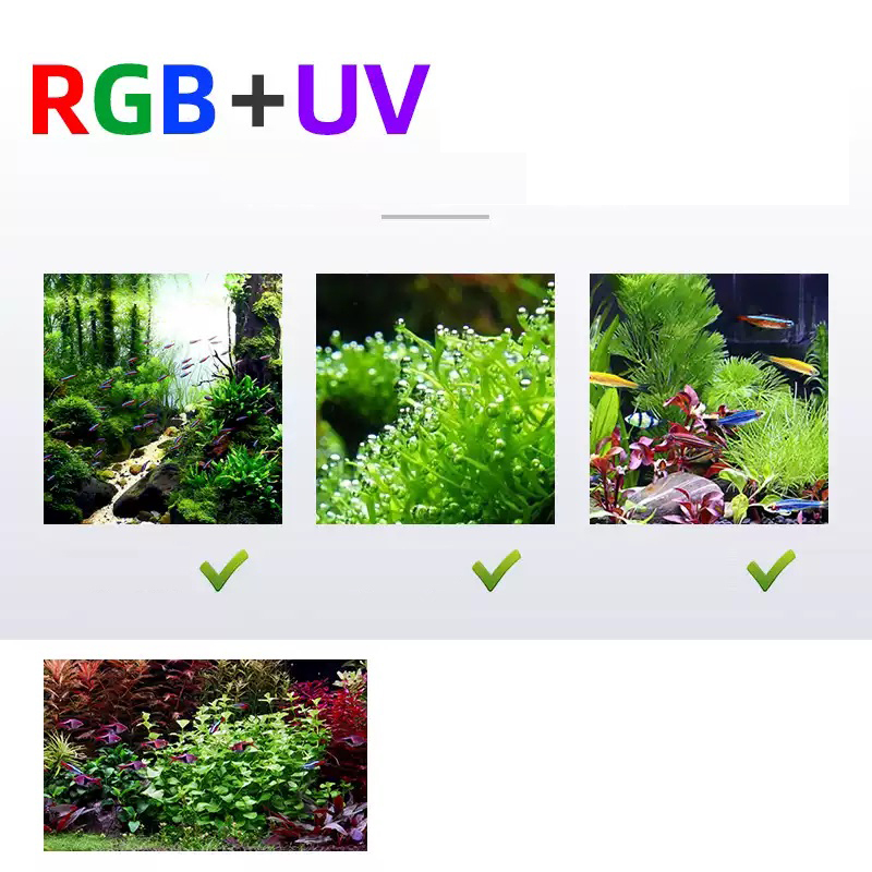 Led Lighting 60cm 80cm 90cm RG - огляд і ціна Aquarium Fish For Sale