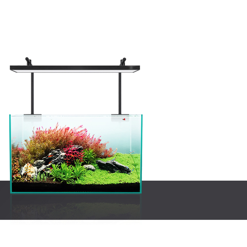 Led Lighting 60cm 80cm 90cm RG - огляд і ціна Aquarium Fish For Sale