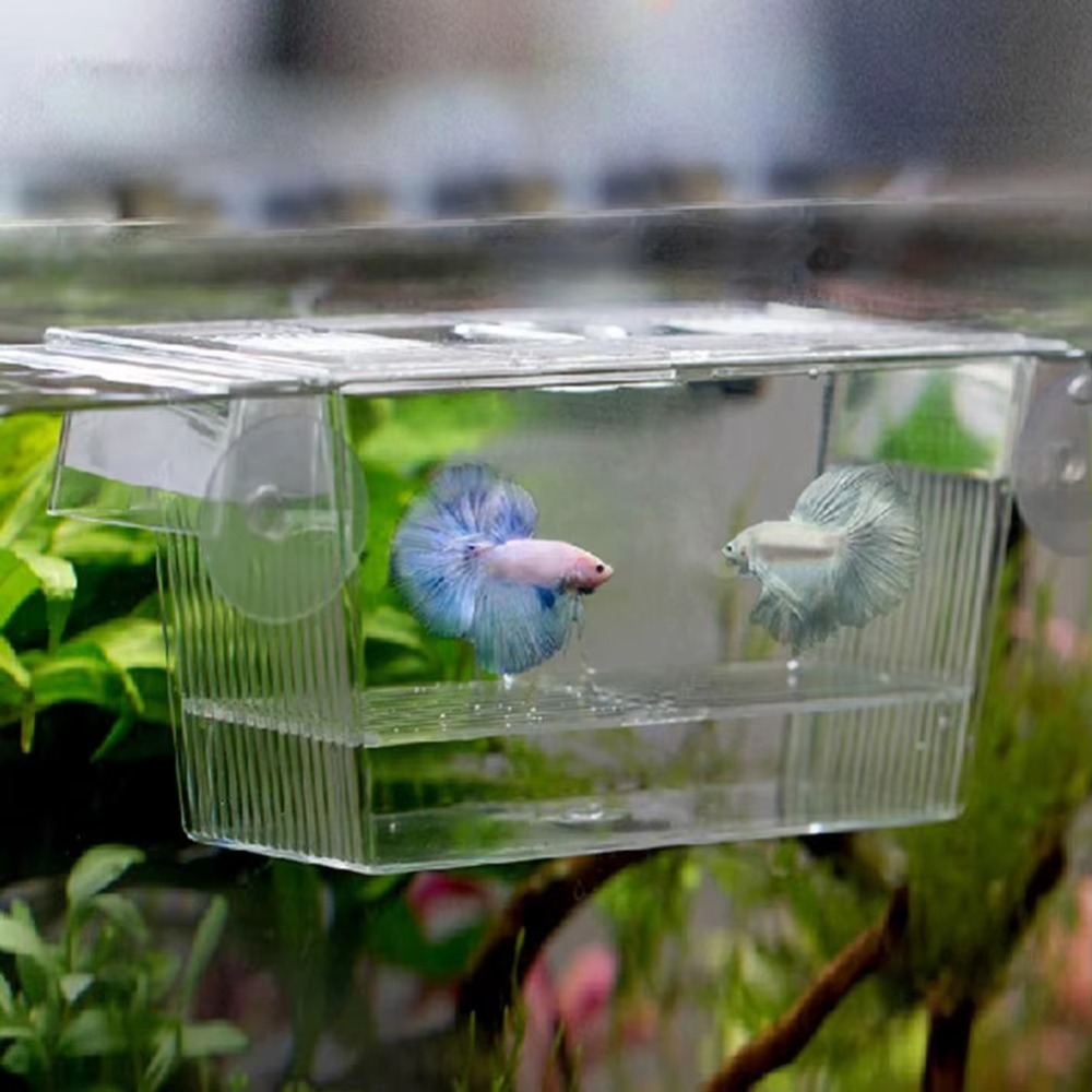 New Acrylic Fish Tank Breeding - огляд і ціна Aquarium Fish Reproduction
