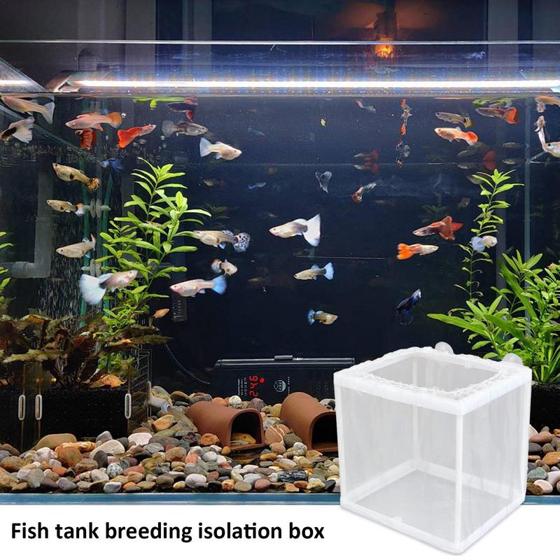 Fish Breeder Box with Suction, - огляд і ціна Aquarium Fish For Sale