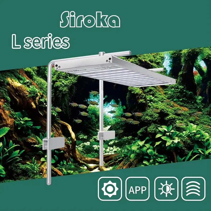 Hot Sale Silver 55W-110W Dimma - огляд і ціна Aquarium Fish For Sale