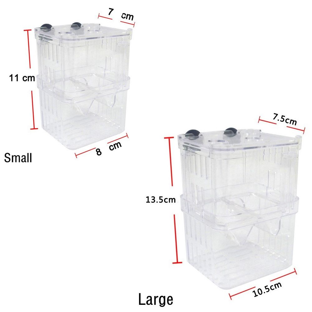 Multifunctional Aquarium Fish  - огляд і ціна Aquarium Fish Reproduction