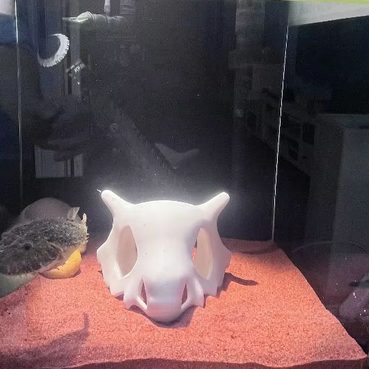 3D Printed FIsh Shrimp Reptile - огляд і ціна Aquarium Fish Hideout