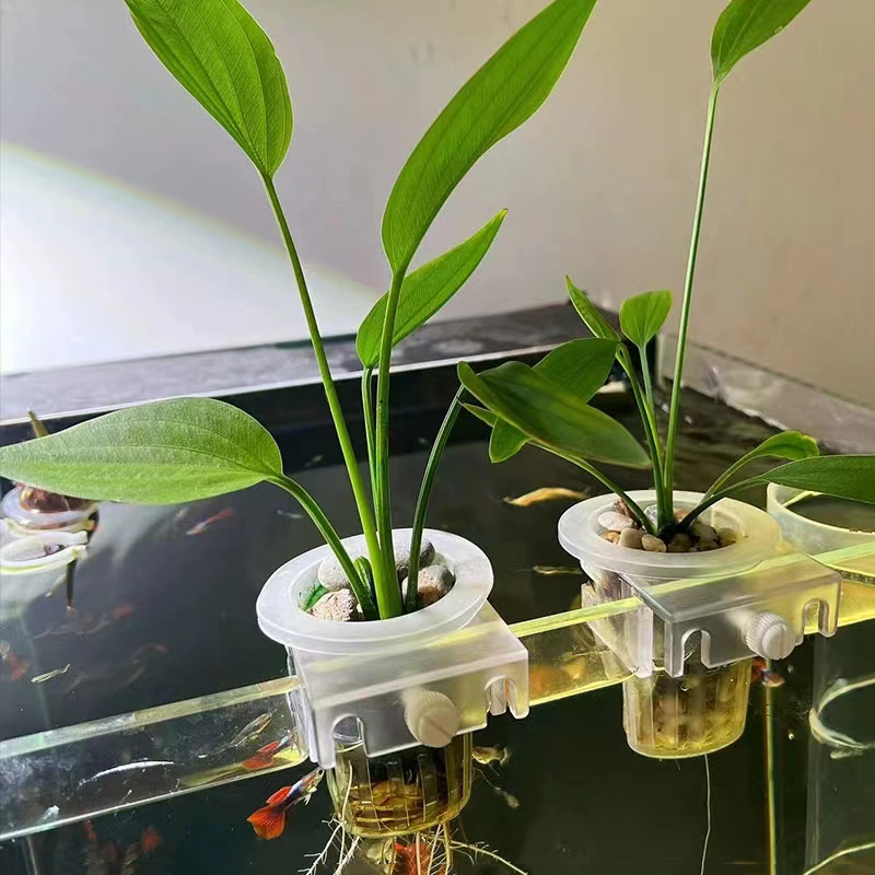 Aquarium Planting Basket Hydro - огляд і ціна Aquarium Fish Elevator