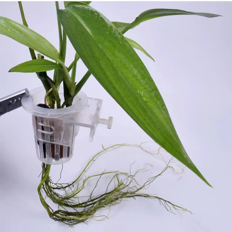 Aquarium Planting Basket Hydro - огляд і ціна Aquarium Fish Elevator